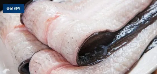 손질 장어